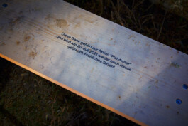 Projekt Platzhalter Hannover Werbung oeffentlicher Raum Stadt Essen E.ON Stiftung Ströer